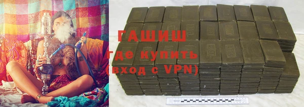 хмурый Ельня