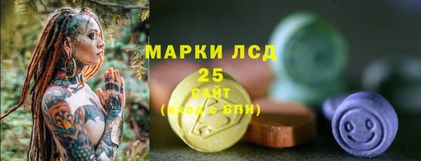 хмурый Ельня
