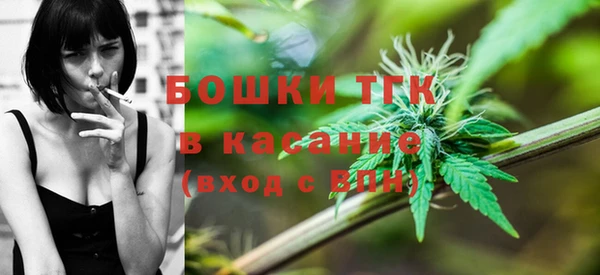 хмурый Ельня