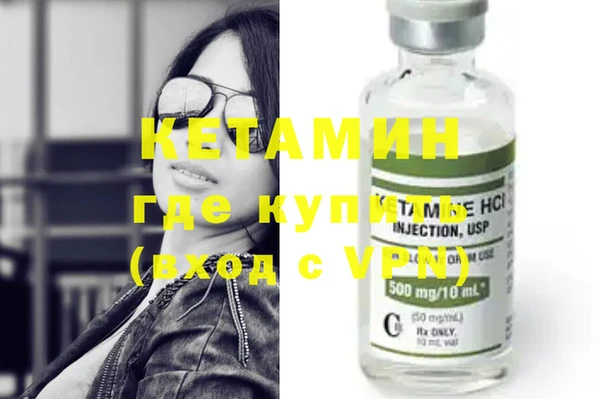хмурый Ельня