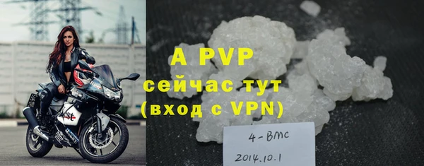 сатива Елабуга