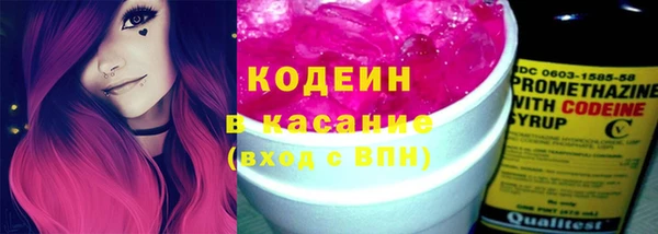 хмурый Ельня