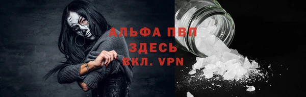 сатива Елабуга