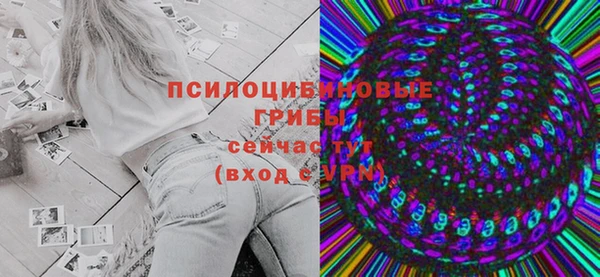 сатива Елабуга