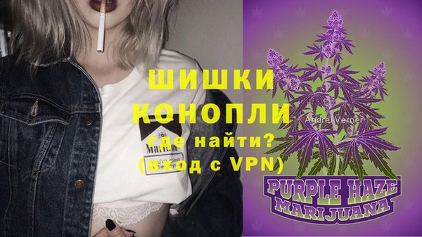 сатива Елабуга