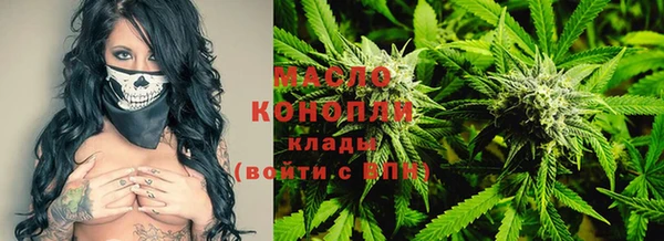 хмурый Ельня