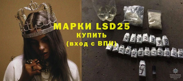 хмурый Ельня