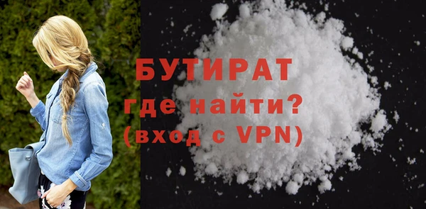хмурый Ельня