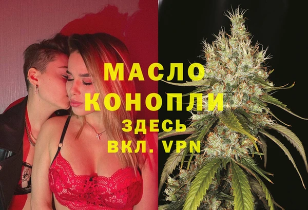 сатива Елабуга