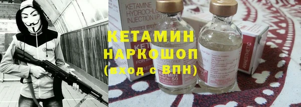 хмурый Ельня