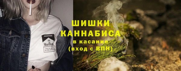 сатива Елабуга