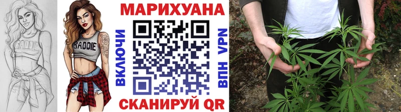 Купить закладки  Злынка  Марихуана Ganja 
